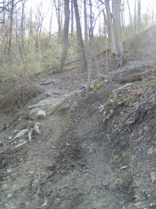 A rocky woodland trail leading up a slope, surrounded by sparse trees and underbrush. The path is uneven and shows signs of erosion, with scattered branches and stones along the way. Sunlight filters through the trees, illuminating parts of the trail. Tower Park mountain bike trail.