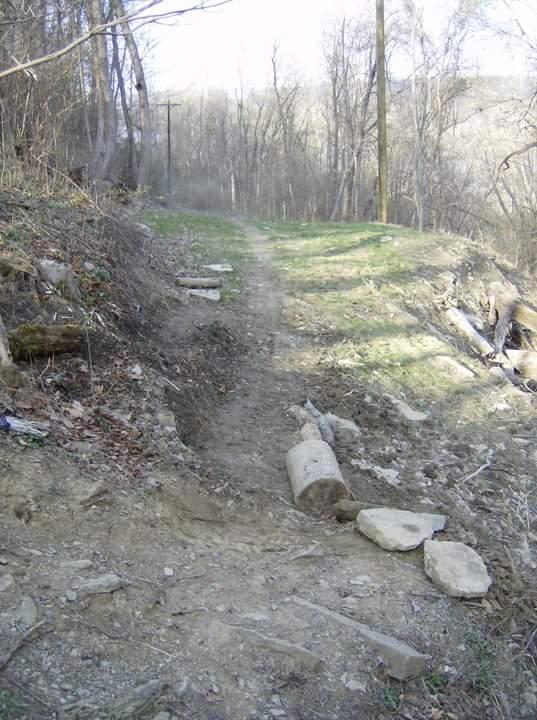 A narrow dirt path winds through a wooded area, with grassy patches on either side. Rough stones and fallen logs are scattered along the trail, indicating natural erosion. In the background, bare trees and a power line are visible, suggesting an early spring setting. Tower Park mountain bike trail.