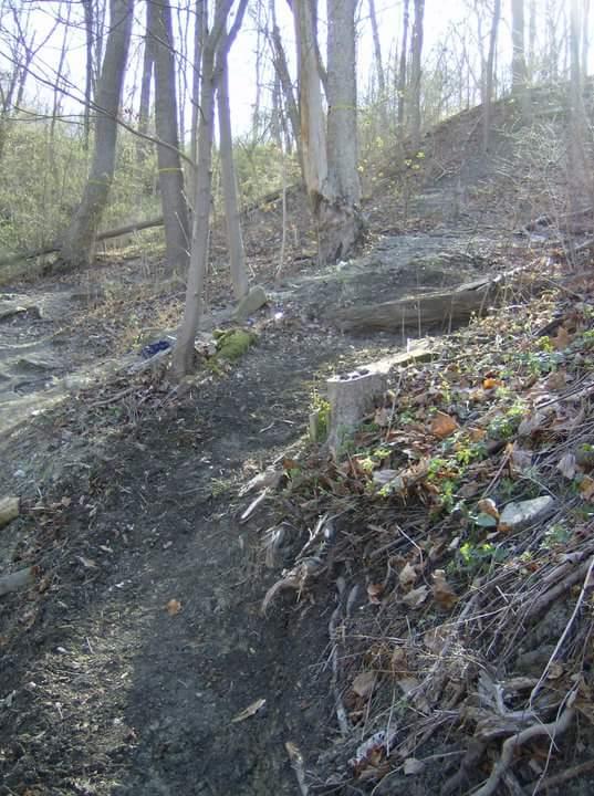 A trail winding up a wooded hillside, surrounded by trees and sparse vegetation. The ground appears uneven with exposed roots and scattered leaves, while sunlight filters through the branches. Tower Park mountain bike trail.