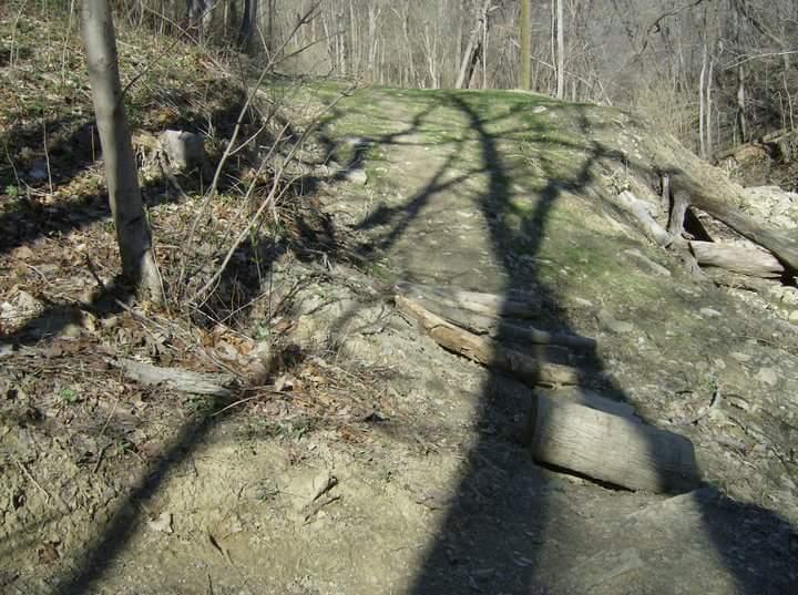 A dirt path winding through a wooded area with patches of grass and scattered logs, where tree shadows create an intricate pattern on the ground. Tower Park mountain bike trail.