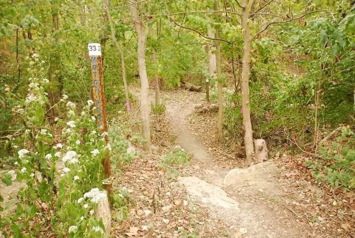 A dirt path winding through a dense forest, marked by a post labeled "33." The area features green foliage, scattered rocks, and some white flowers blooming near the trail. Tower Park mountain bike trail.
