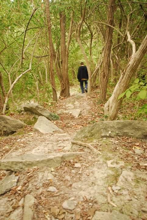 A person walking on a rocky trail surrounded by dense greenery and trees. Tower Park mountain bike trail.