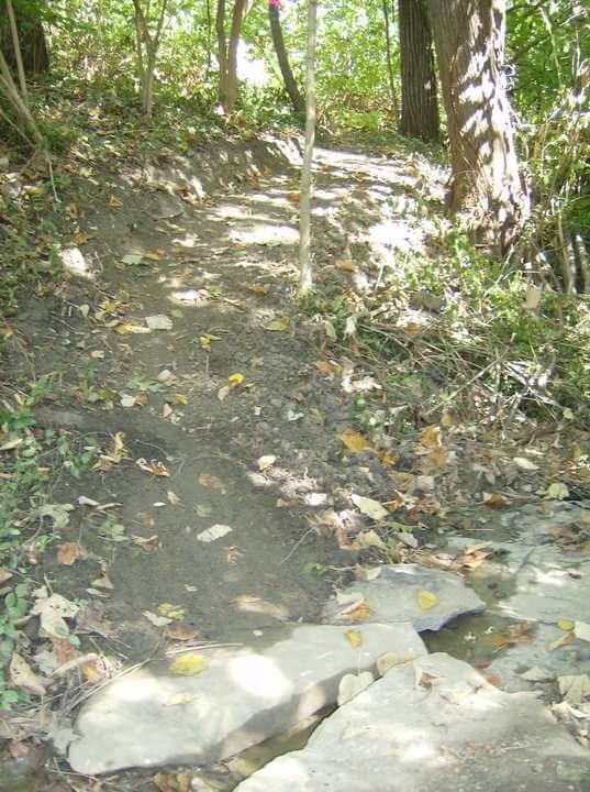 A narrow, dirt path winding through a wooded area, with scattered leaves on the ground and large stones forming a small crossing over a shallow stream. Sunlight filters through the trees, illuminating the trail. Tower Park mountain bike trail.