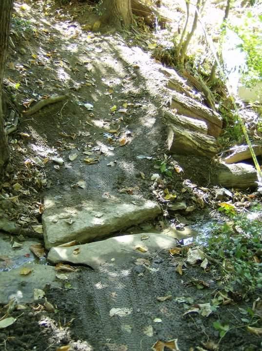 A dirt path leading down a slope in a wooded area, with scattered leaves and rocks visible, and sunlight filtering through the trees. Tower Park mountain bike trail.