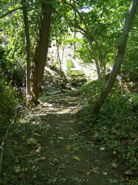 A narrow dirt path winding through a wooded area, flanked by tall trees and scattered autumn leaves. In the distance, a white structure is partially visible among the greenery, suggesting a continuation of the path beyond the foliage. The scene is vibrant with various shades of green and hints of fall colors. Tower Park mountain bike trail.
