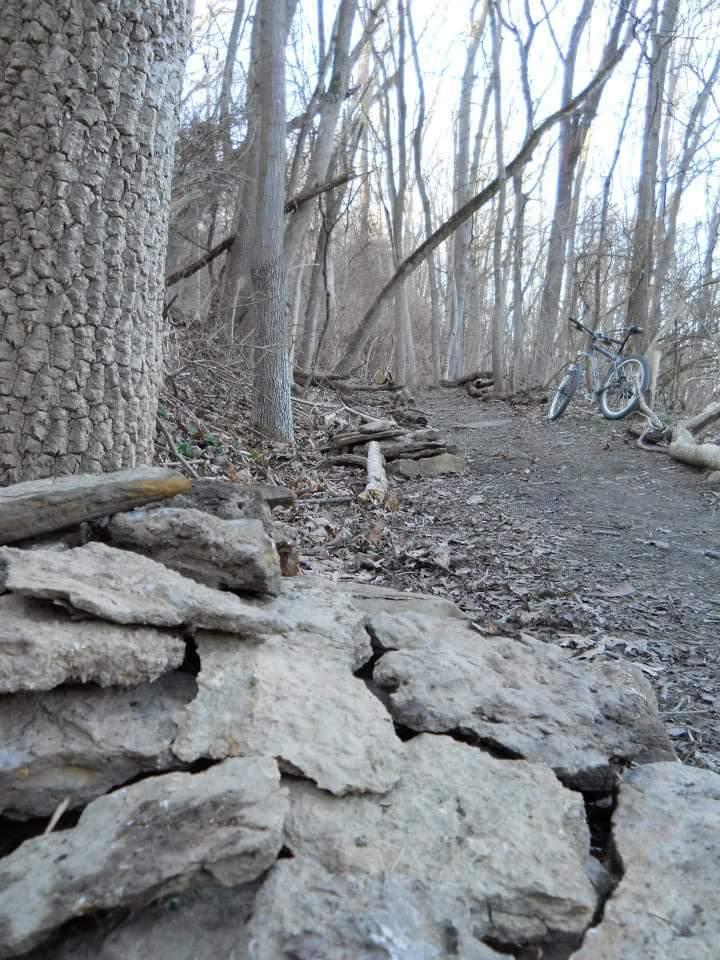 A winding dirt path through a forest, lined with tall trees and scattered fallen branches. In the foreground, a stack of rocks is visible, and in the background, a bicycle rests against the trees. The scene is illuminated by soft natural light, suggesting a peaceful outdoor setting. Tower Park mountain bike trail.
