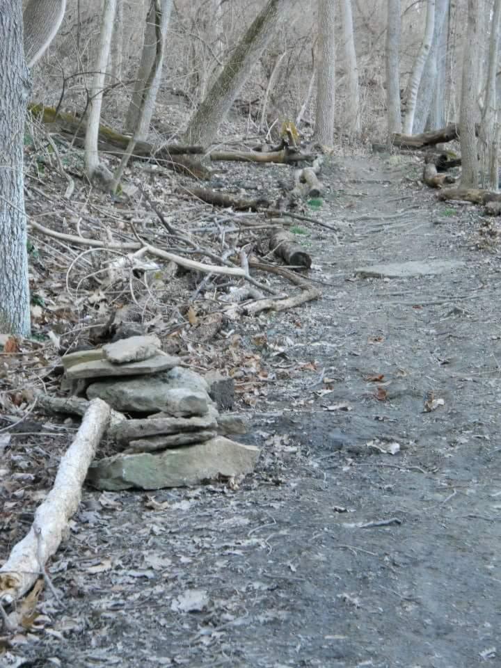 A dirt trail winding through a forest with bare trees, surrounded by scattered fallen branches and leaves. A small stack of stones is built along the side of the path. The scene conveys a tranquil, natural setting. Tower Park mountain bike trail.