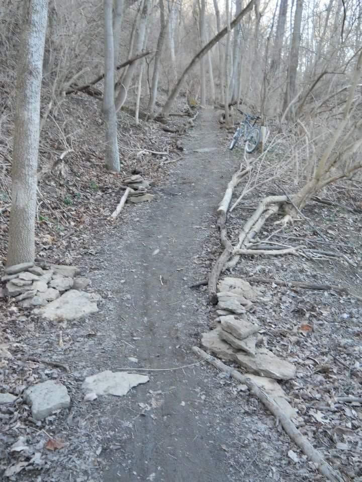 A narrow dirt trail winding through a wooded area, flanked by trees and scattered dry leaves. There are stone markers along the sides of the path, and a bicycle is parked against a tree in the background. The scene appears to be in early spring or late fall, with bare branches visible. Tower Park mountain bike trail.