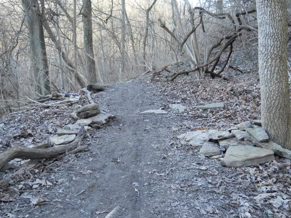 A dirt path winding through a forest, surrounded by leafless trees and scattered rocks. The scene is tranquil and natural, with dry leaves covering the ground. Tower Park mountain bike trail.