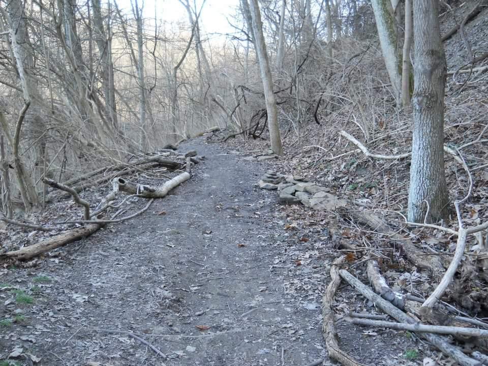 A narrow, winding dirt trail through a wooded area, surrounded by bare trees and scattered fallen branches. The path is flanked by leaf litter and small stones, creating a natural landscape typical of an early spring or late fall setting. The atmosphere is serene and quiet, with clear skies visible above. Tower Park mountain bike trail.