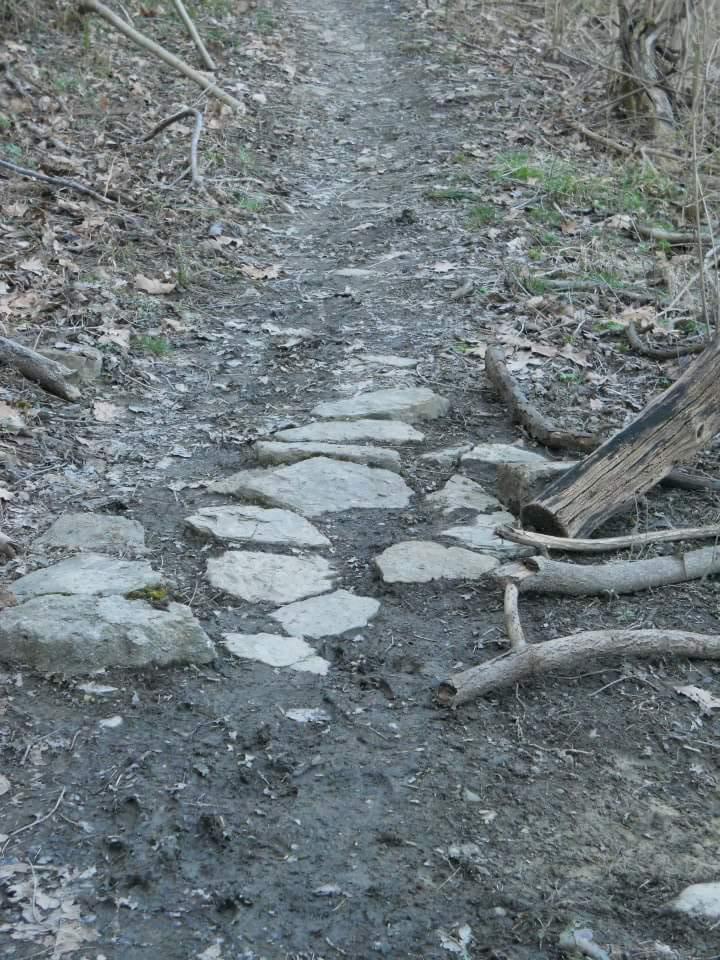 Pathway through a wooded area, featuring a mix of dirt and stone paving, surrounded by fallen leaves and tree branches. Tower Park mountain bike trail.
