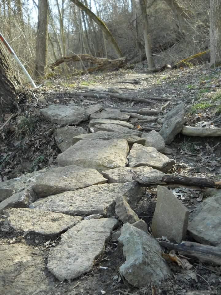 A rocky pathway leads through a wooded area, with large stones arranged to create a trail over dirt and fallen leaves. Surrounding trees are bare, reflecting a late fall or early winter season. A fallen log is visible along the side of the path amidst sparse vegetation. Tower Park mountain bike trail.
