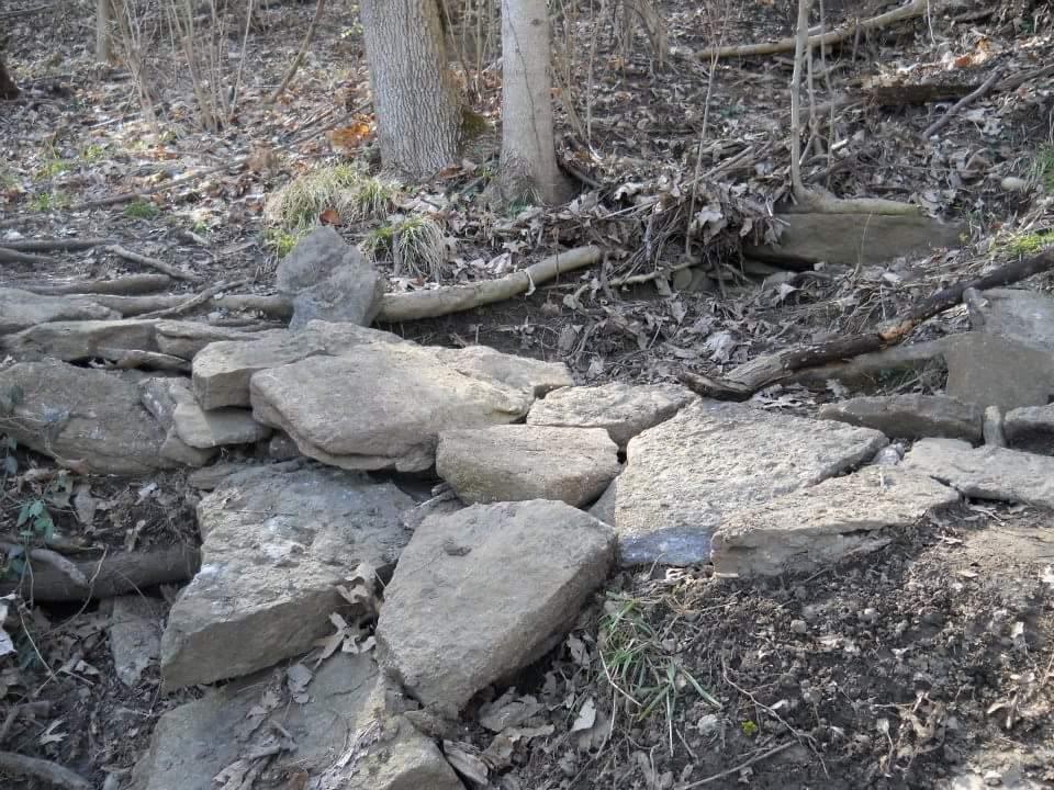 A rocky path crosses a forest floor, layered with stones and surrounded by dry leaves and tree roots. Sparse vegetation can be seen in the background, with trees standing nearby. The setting appears to be a natural outdoor area, possibly a hiking trail. Tower Park mountain bike trail.