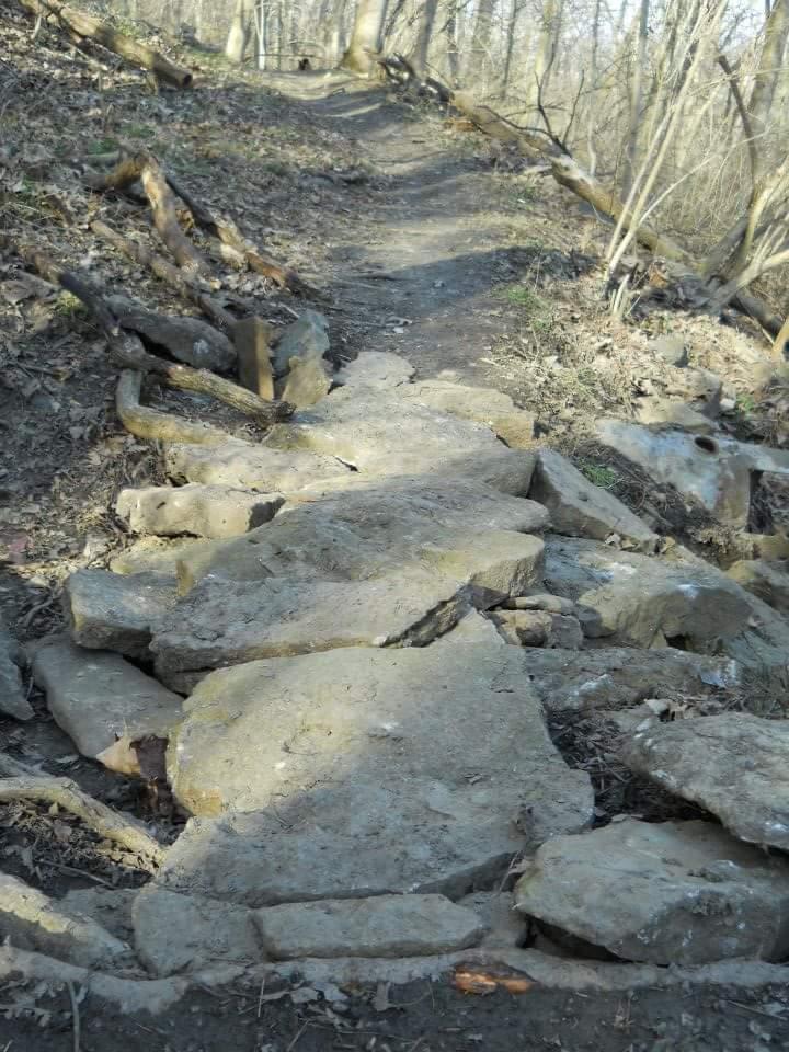 A rocky pathway winding through a wooded area, featuring large stones arranged along the trail. The surroundings include bare trees and patches of dirt and leaves, indicating an outdoor nature setting. Tower Park mountain bike trail.