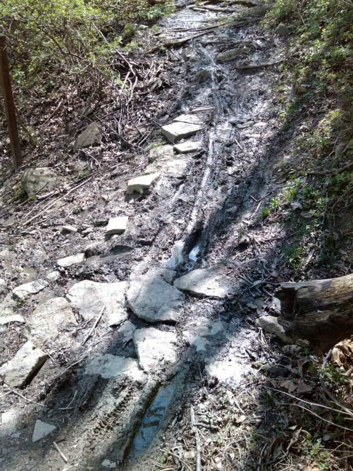 A narrow, muddy hiking trail lined with scattered rocks and sticks, surrounded by lush greenery. The path shows signs of water runoff and tire marks, indicating recent use. Tower Park mountain bike trail.
