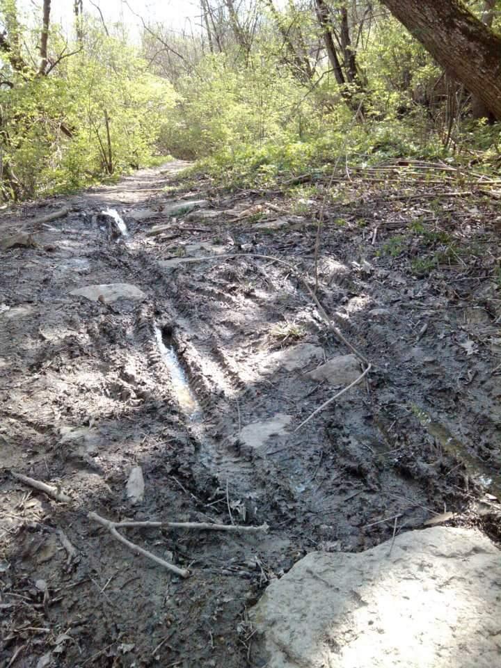 A muddy, uneven trail winding through a densely vegetated forest area, featuring tire tracks, exposed rocks, and patches of greenery along the sides. The sun is shining, illuminating the scene. Tower Park mountain bike trail.