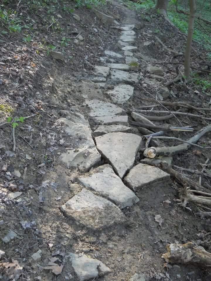 Alt text: A winding stone pathway through a wooded area, with irregularly shaped stones arranged unevenly along a dirt trail surrounded by greenery and fallen leaves. Tower Park mountain bike trail.