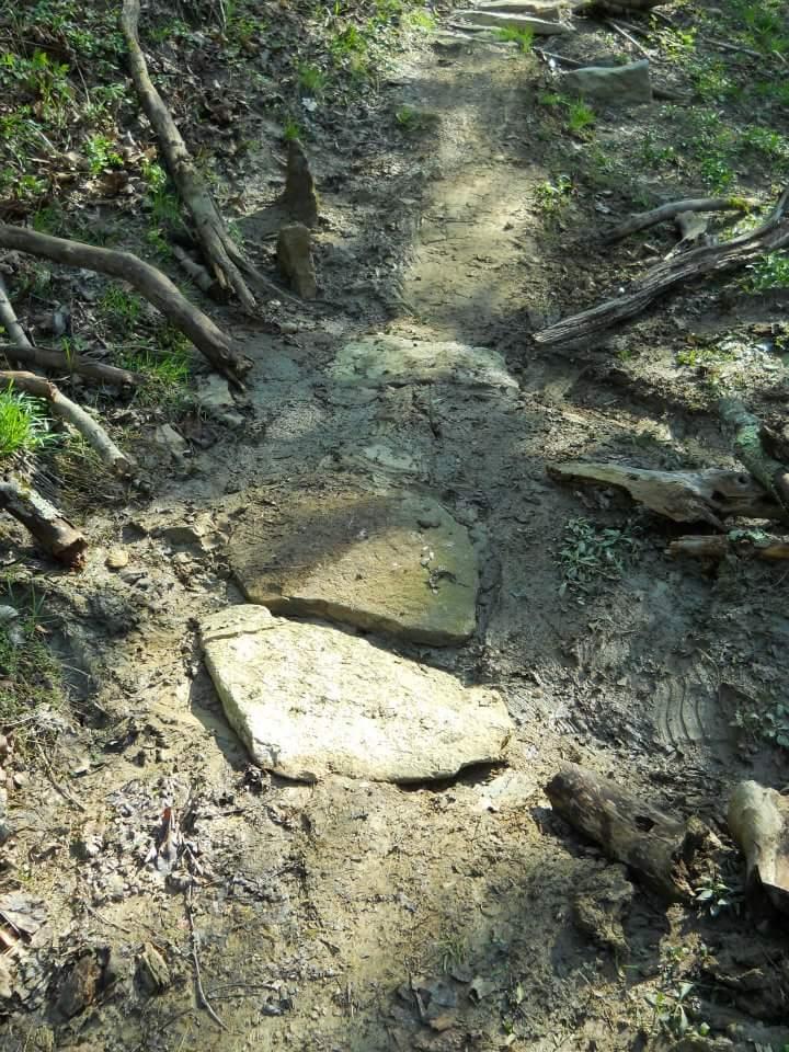 A narrow, muddy trail winding through a forest, featuring large, flat stones arranged as stepping stones. Surrounding vegetation includes small patches of grass and fallen branches. Sunlight filters through the trees, illuminating parts of the path. Tower Park mountain bike trail.