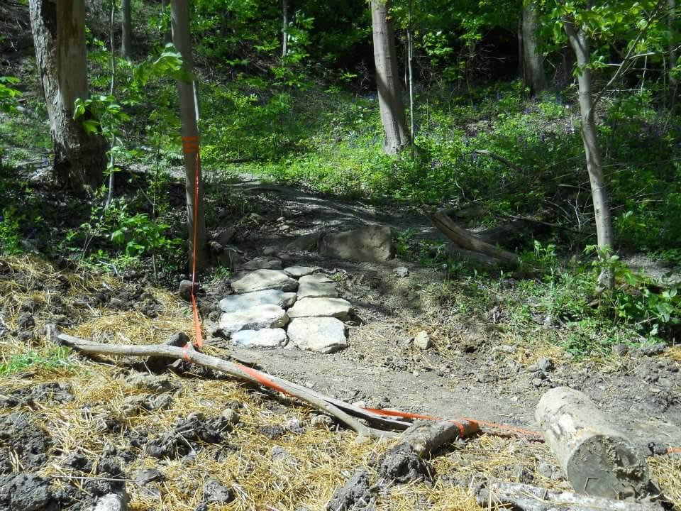 A small, rustic path through a wooded area, featuring a stone walkway that leads over uneven terrain. The surrounding area is lush with green foliage, and several trees are visible on either side. A stick and an orange strap are placed along the path, indicating ongoing maintenance or construction. Tower Park mountain bike trail.
