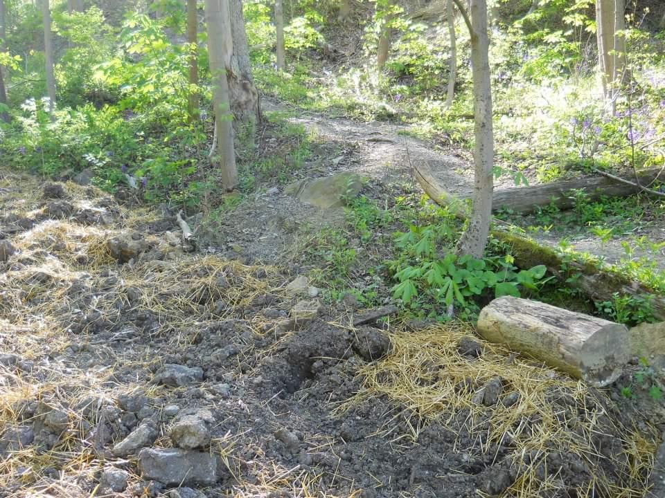  Tower Park mountain bike trail.