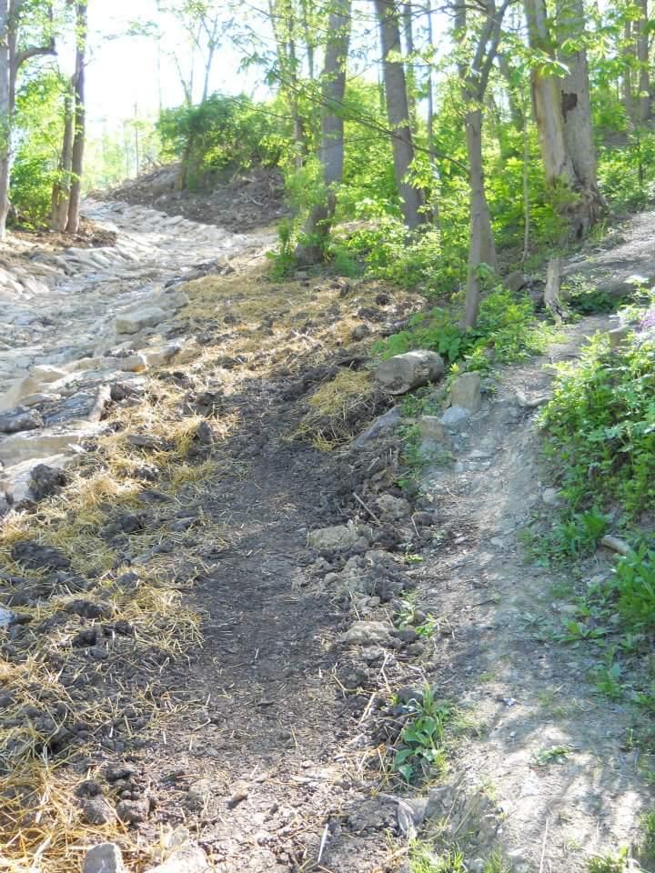 A rocky dirt path winding through a sunlit forest, bordered by greenery and scattered rocks. The trail, partially covered with straw and loose soil, leads to a clearer area further up, surrounded by trees. Tower Park mountain bike trail.