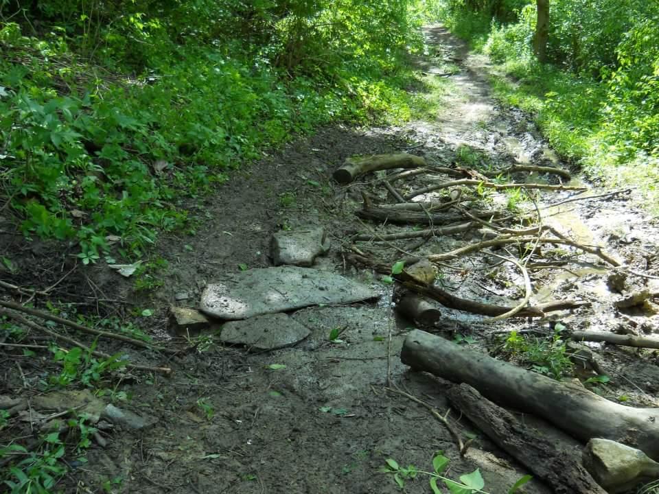 A narrow dirt path surrounded by dense greenery, featuring scattered rocks and fallen branches along the side. The path appears muddy and well-trodden, indicating frequent use. Sunlight filters through the trees, illuminating the trail. Tower Park mountain bike trail.
