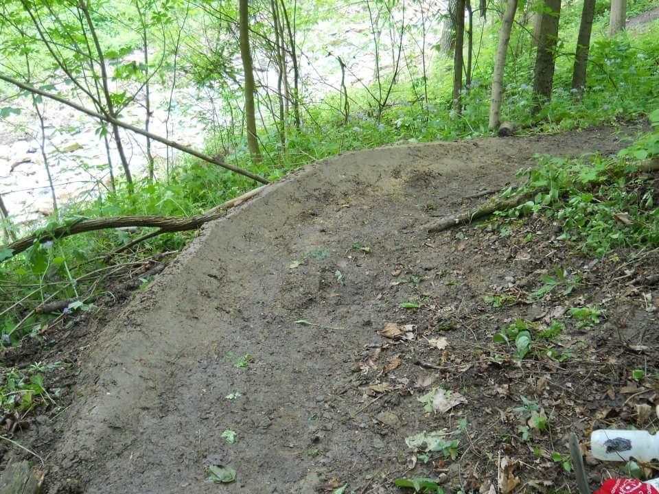 A dirt path curving through a wooded area, surrounded by green foliage and trees. In the background, a stream can be seen, adding to the natural landscape. Leaves and twigs are scattered on the ground, indicating a forested environment. Tower Park mountain bike trail.