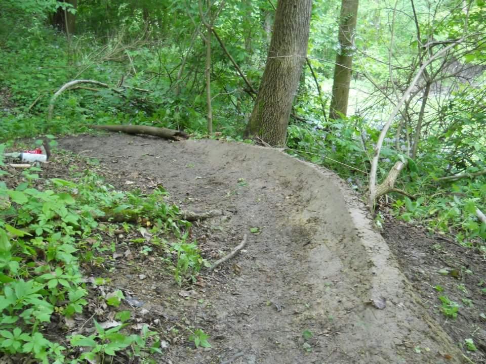A dirt trail or path winding through a lush green forest, surrounded by dense vegetation and trees. Some fallen branches and scattered leaves are visible along the edge of the path. Tower Park mountain bike trail.