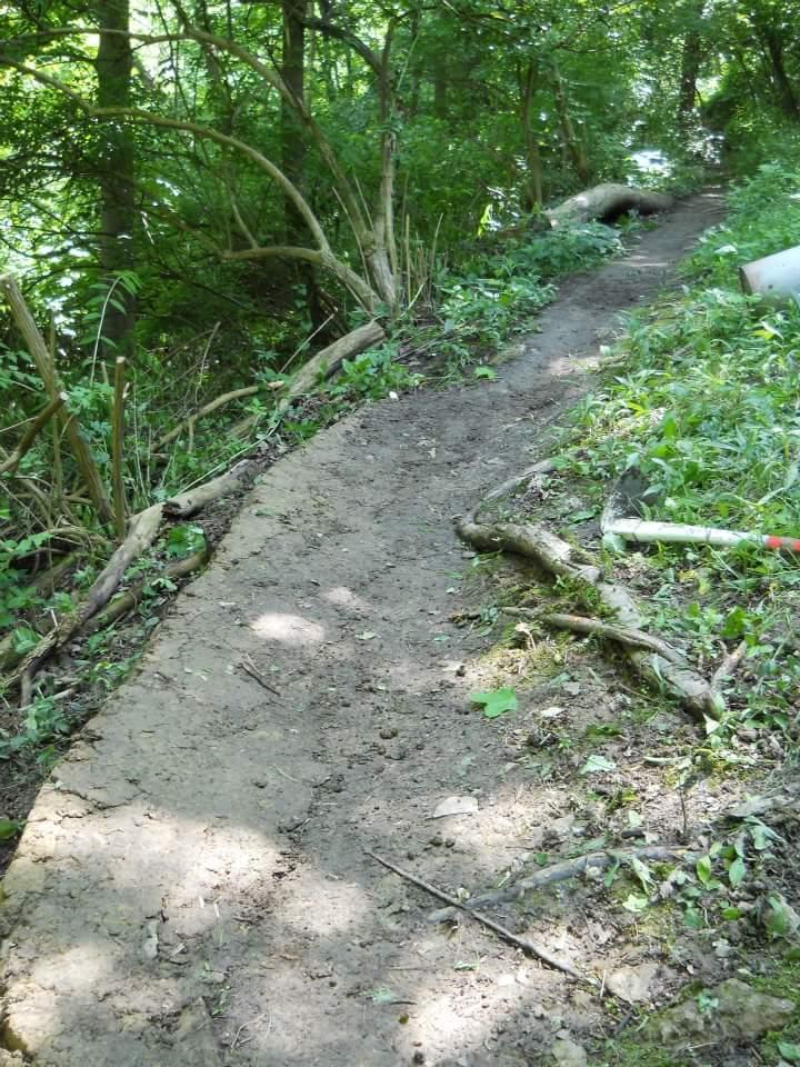 A dirt path winding through a lush green forest, surrounded by trees and foliage. Sunlight filters through the leaves, casting dappled shadows on the ground. Scattered twigs and branches are visible along the edges of the trail. Tower Park mountain bike trail.