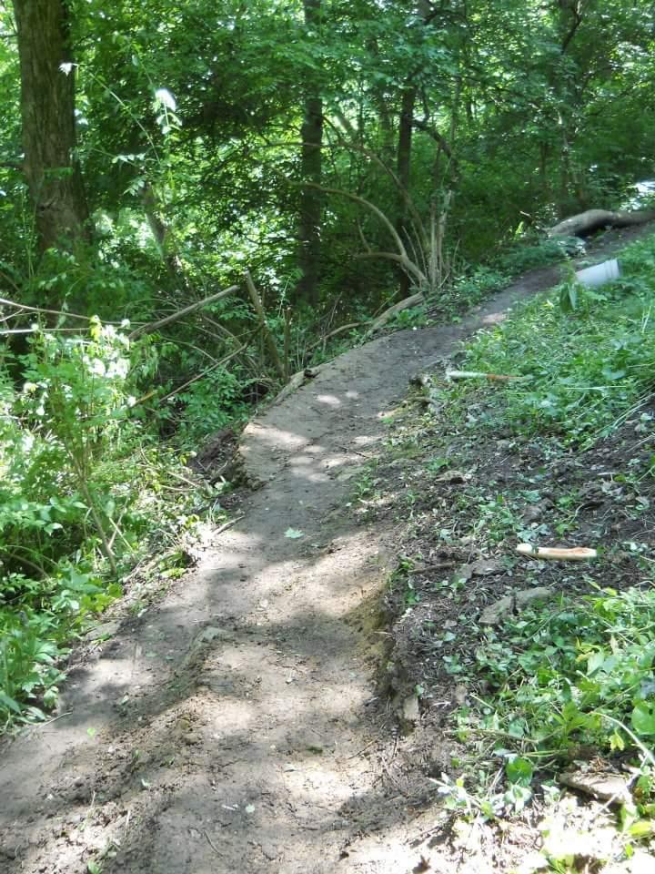 A narrow dirt path winding through a lush green forest, surrounded by trees and shrubs. Sunlight filters through the leaves, creating dappled shadows on the ground. Tower Park mountain bike trail.