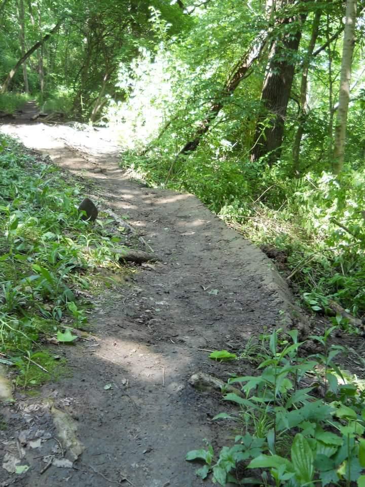 A narrow dirt path winds through a lush green forest, surrounded by dense vegetation and trees. Sunlight filters through the leaves, creating a dappled effect on the ground. The path appears well-worn, leading deeper into the tranquil natural setting. Tower Park mountain bike trail.