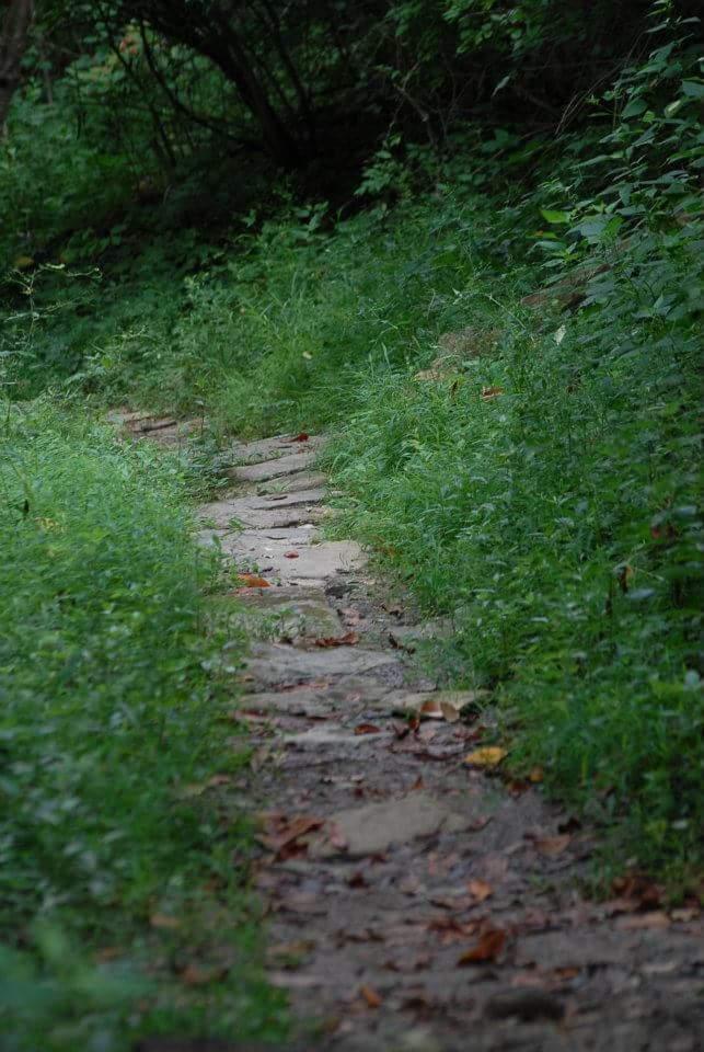 A narrow, winding stone path surrounded by lush greenery and grass, leading through a natural area. The path is partially covered with fallen leaves, creating a serene, inviting atmosphere. Tower Park mountain bike trail.