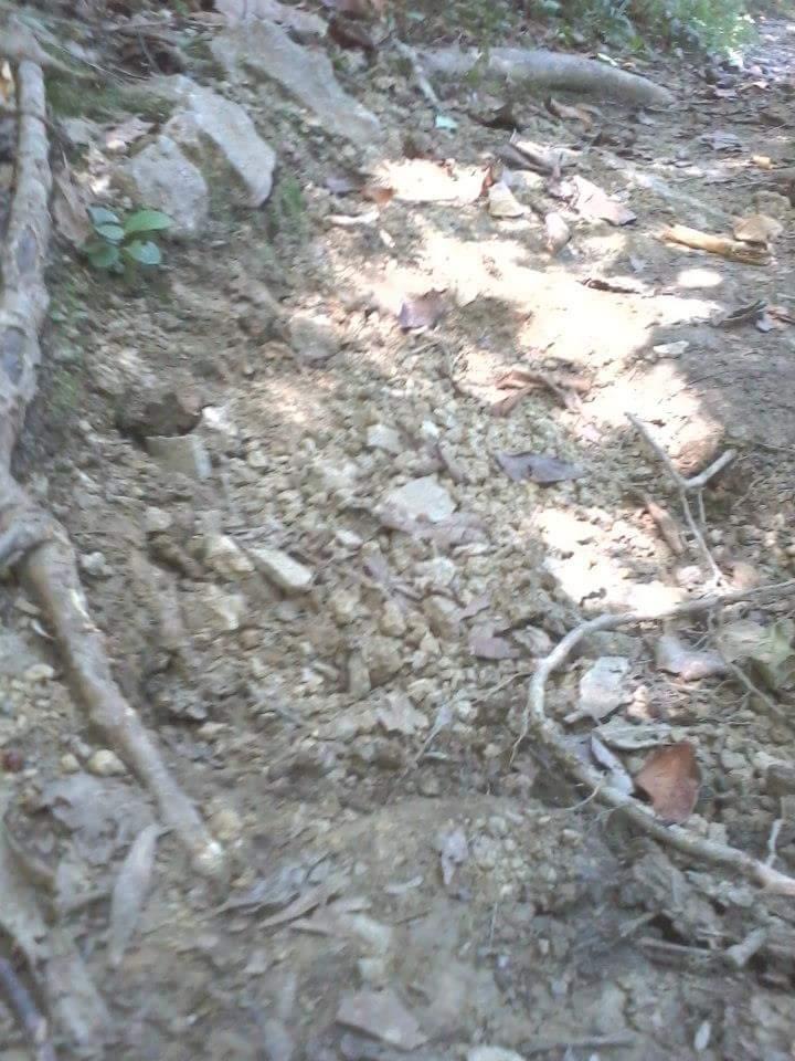 A close-up view of a dirt trail, featuring a mix of loose soil, small rocks, and scattered leaves. The trail is bordered by fallen branches and patches of green vegetation, indicating a natural outdoor setting. Tower Park mountain bike trail.