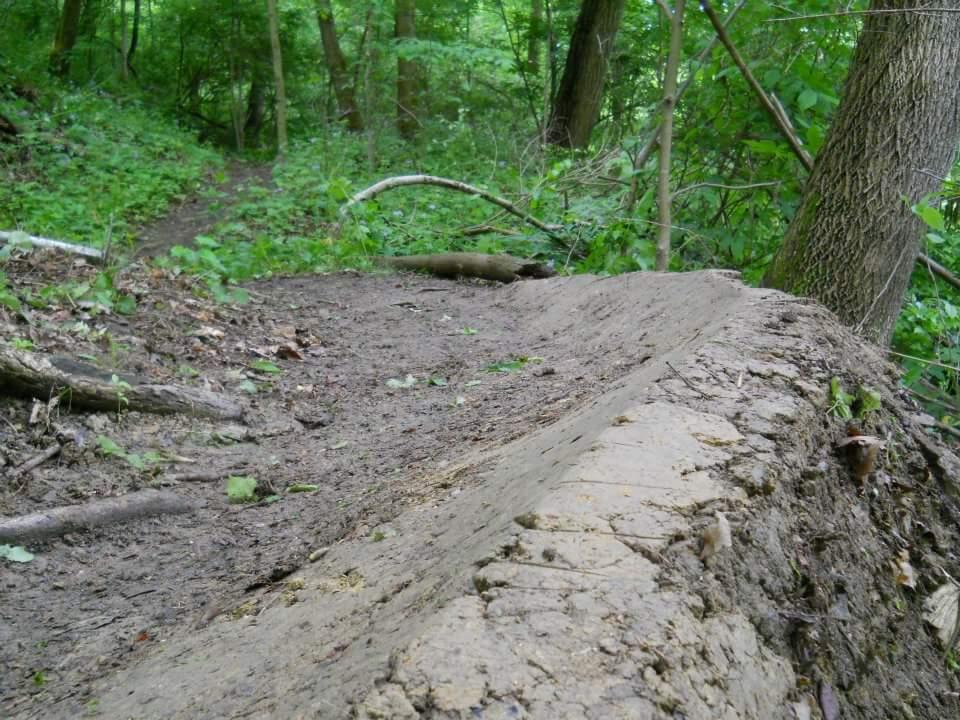 A dirt trail with a raised edge, surrounded by lush greenery in a forested area. The path curves off into the distance, indicating a natural hiking route. Tower Park mountain bike trail.