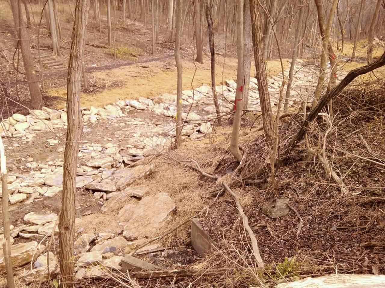 A wooded area with bare trees and rocky terrain, featuring a dry streambed lined with large stones. The ground is mostly covered in brown leaves and grass, with some patches of exposed earth. In the background, a trail is visible leading through the trees. Red markings are visible on some of the tree trunks. Tower Park mountain bike trail.