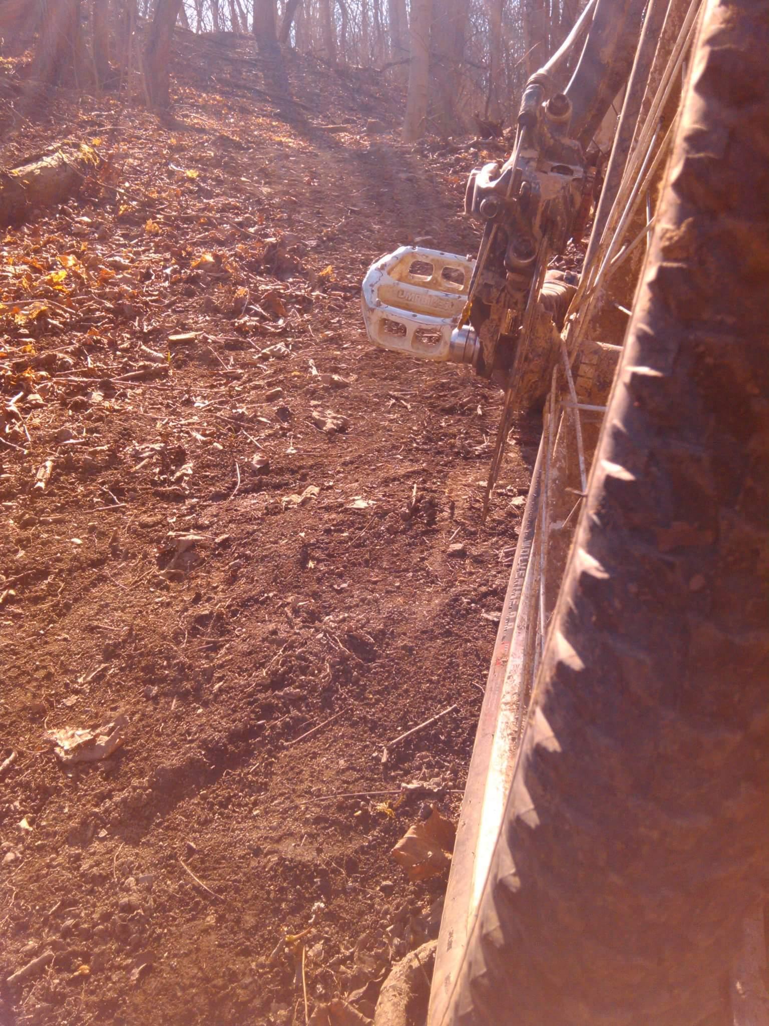 Close-up view of a mountain bike pedal and rear tire on a dirt trail surrounded by trees. The ground is earthy with scattered leaves, suggesting a natural outdoor environment, possibly in a wooded area during autumn. Tower Park mountain bike trail.