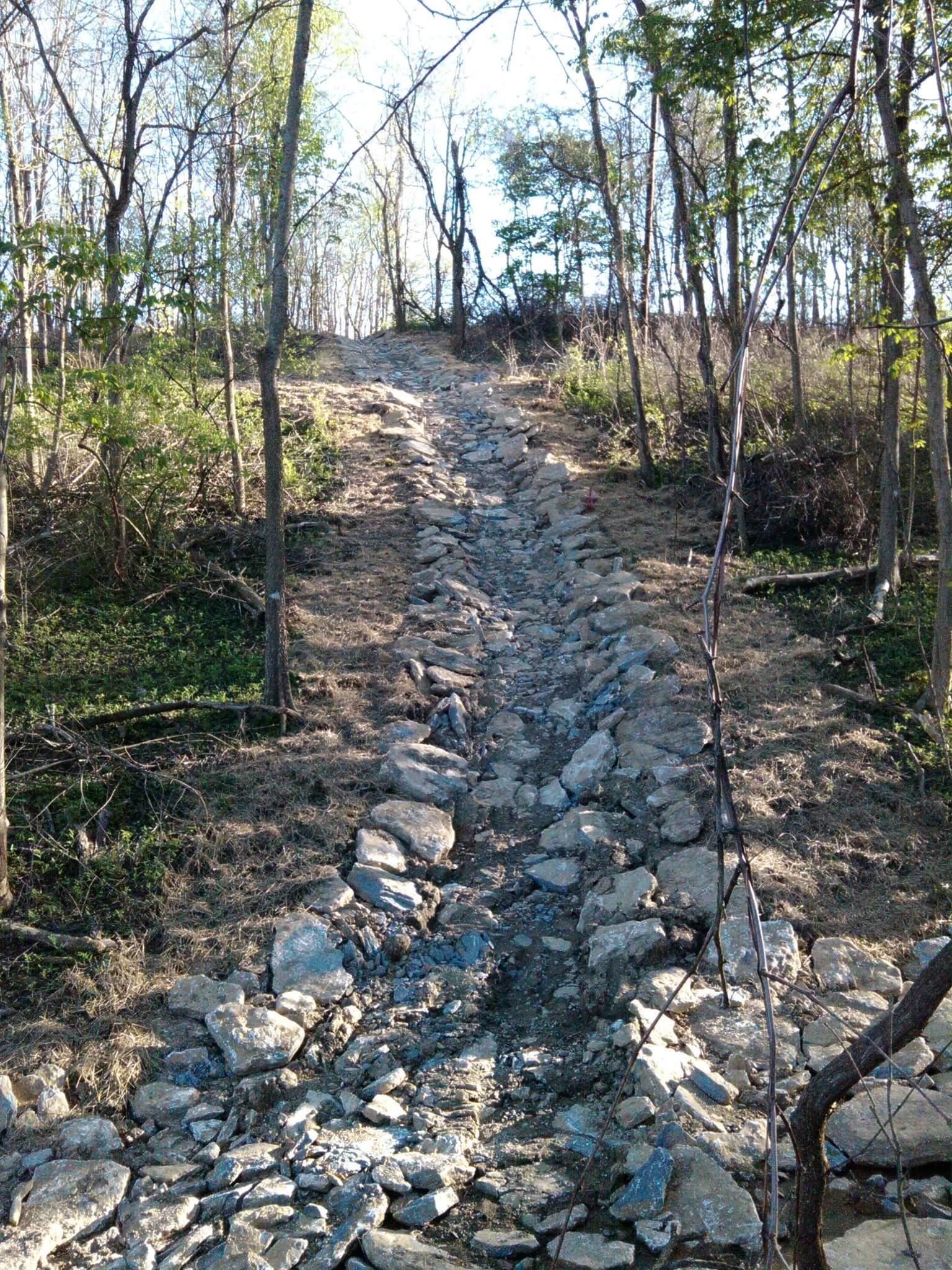 A rocky hiking trail winding through a forested area, with sparse trees and greenery on either side. The path is lined with large stones, suggesting a challenging ascent towards a higher elevation. Sunlight filters through the branches above, illuminating the trail. Tower Park mountain bike trail.