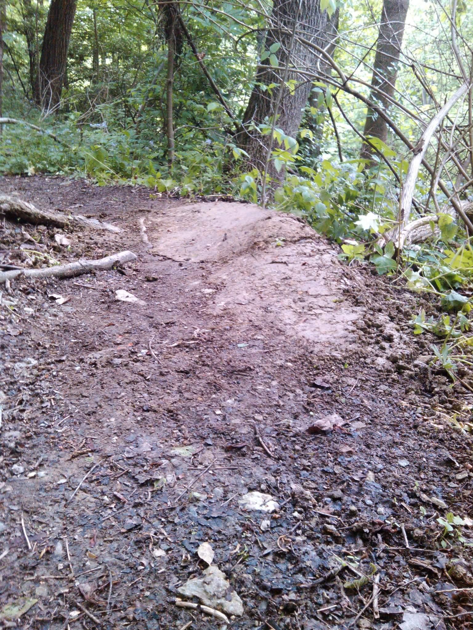 A narrow dirt path winding through a lush forest, surrounded by greenery and trees. The ground is uneven and slightly muddy, with visible soil and small rocks. Sunlight filters through the trees, casting a soft glow on the trail. Tower Park mountain bike trail.