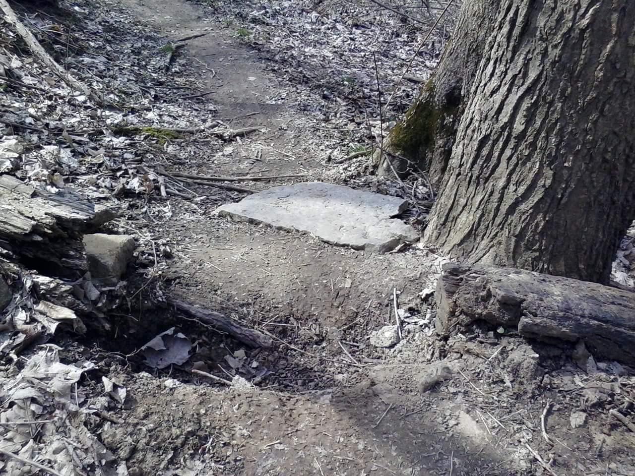 A narrow dirt path through a forested area, featuring a fallen tree trunk on the left and a large tree trunk on the right. A flat stone is embedded in the trail, surrounded by scattered leaves and twigs. The ground is uneven, indicating a natural setting with minimal human intervention. Tower Park mountain bike trail.