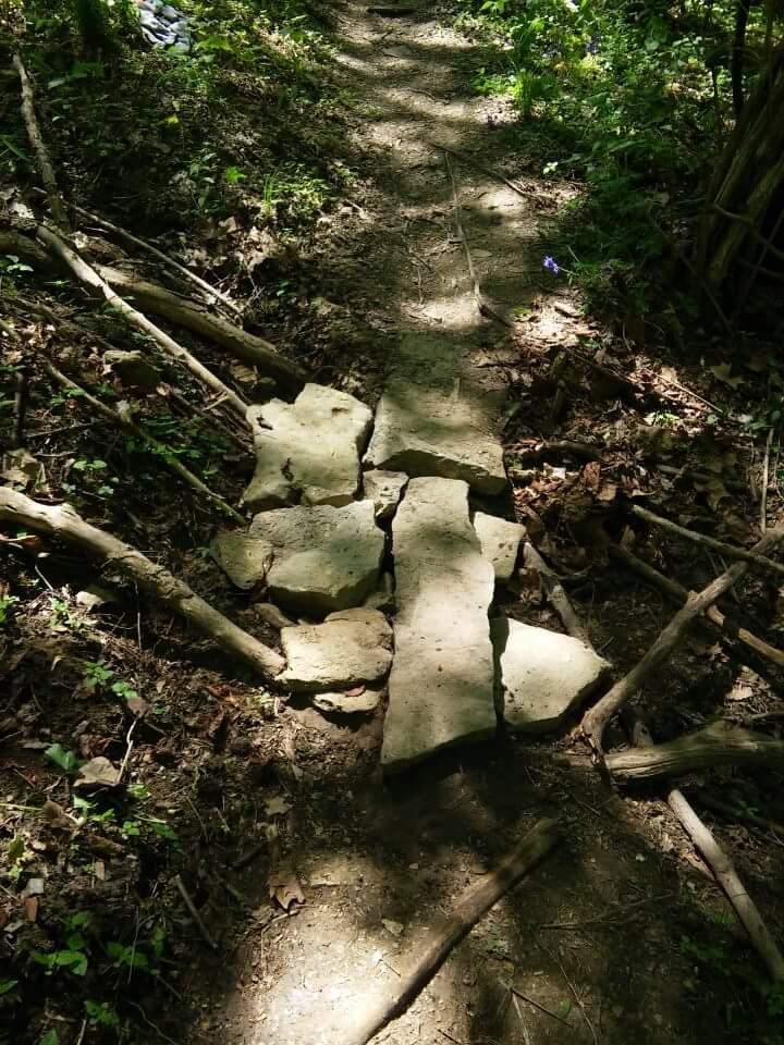 A narrow dirt path in a wooded area, featuring a makeshift stone bridge made of several large rocks. Surrounding the path are patches of greenery, fallen leaves, and twigs, with dappled sunlight filtering through the trees. Tower Park mountain bike trail.