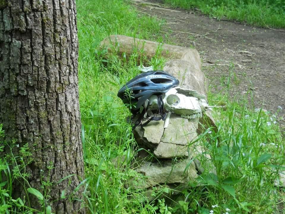 A black bicycle helmet resting on a large rock, partially covered in moss, surrounded by grass and wild plants, with a tree trunk visible on the left and a dirt path in the background. Skullbuster mountain bike trail.