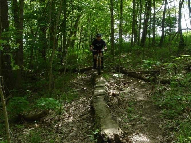 A person riding a mountain bike over a narrow log bridge in a lush green forest. The scene is surrounded by trees and undergrowth, with dappled sunlight filtering through the leaves. England Idlewild Mountain Biking Park mountain bike trail.