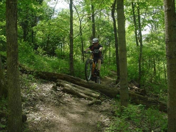 A mountain biker navigating a wooded trail, balancing on a fallen log, surrounded by lush green trees and foliage in a sunny outdoor setting. England Idlewild Mountain Biking Park mountain bike trail.