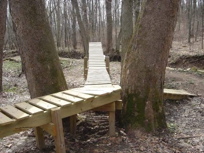 Wooden pathway winding through a forest, bridging between two large trees, with leaves scattered on the ground and a small stream visible in the background. England Idlewild Mountain Biking Park mountain bike trail.