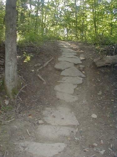 A dirt path leading uphill, lined with flat stones, surrounded by trees and greenery in a forested area. England Idlewild Mountain Biking Park mountain bike trail.