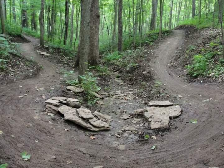 A forested area with two winding dirt paths diverging from a central point, surrounded by trees and greenery. A cluster of rocks is positioned in the middle of the fork. The scene conveys a tranquil outdoor setting ideal for hiking or biking. England Idlewild Mountain Biking Park mountain bike trail.