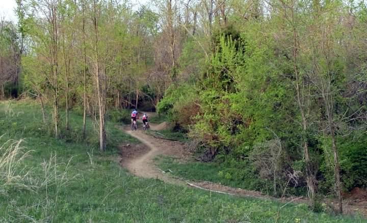Two cyclists riding on a winding dirt trail through a lush, green forest. The scene features tall trees with new leaves, a grassy area along the path, and a serene outdoor atmosphere. England Idlewild Mountain Biking Park mountain bike trail.