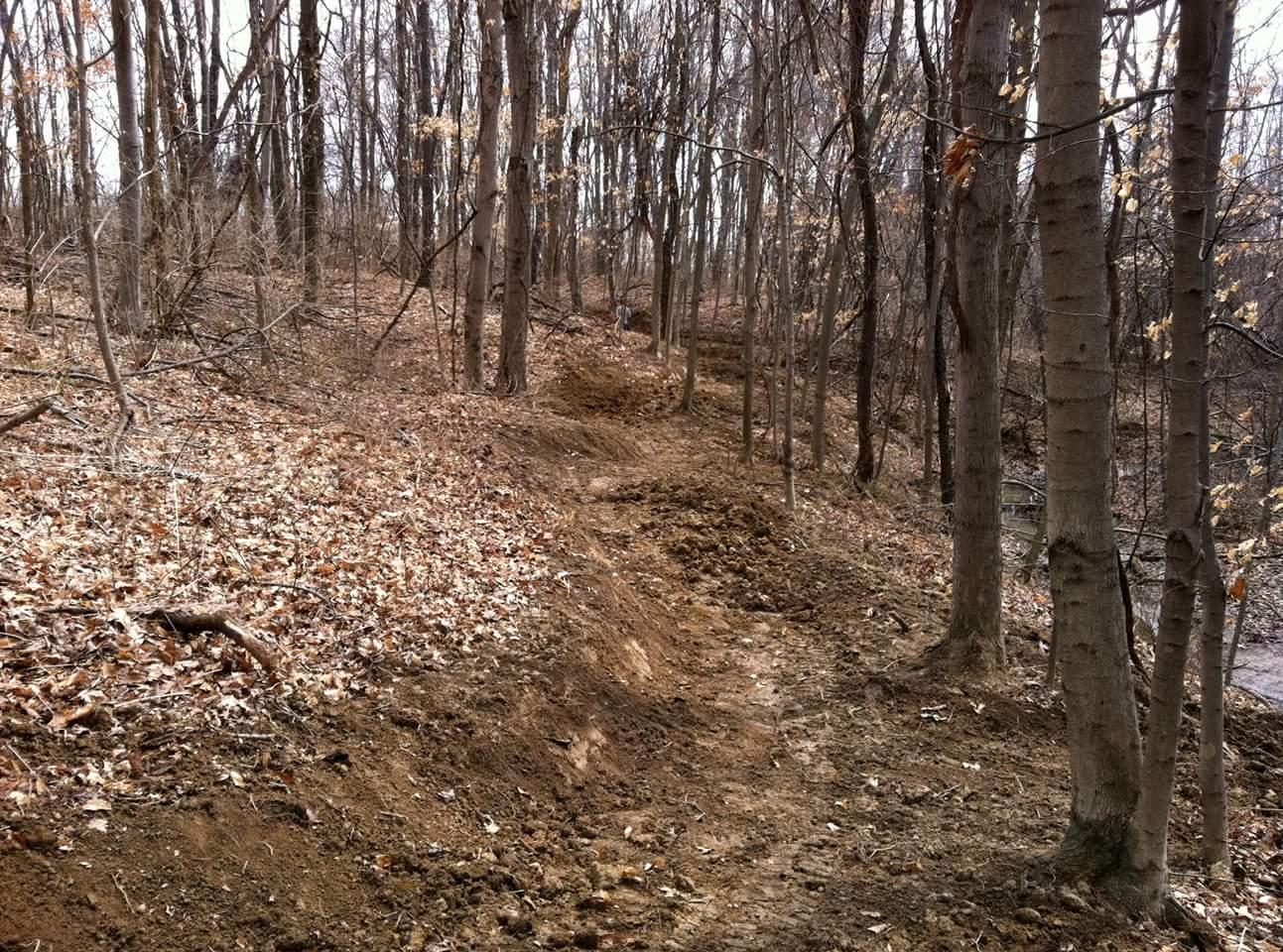 A narrow, winding dirt trail cuts through a forested area with sparse trees and scattered fallen leaves. The landscape is mostly bare, indicating early spring or late autumn, with freshly turned soil along the path. The scene evokes a sense of tranquility and the natural beauty of an untamed wooded environment. England Idlewild Mountain Biking Park mountain bike trail.