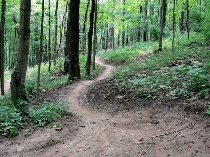 A winding dirt path through a lush green forest, surrounded by tall trees and dense foliage. The trail is partially shaded, with patches of sunlight filtering through the leaves, creating a serene and inviting atmosphere. England Idlewild Mountain Biking Park mountain bike trail.