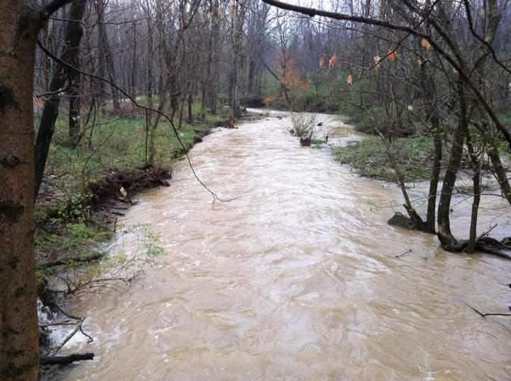 A muddy river flows through a wooded area, surrounded by bare trees and lush green grass. The water appears to be swollen, likely due to recent rainfall, creating a serene yet powerful natural scene. England Idlewild Mountain Biking Park mountain bike trail.